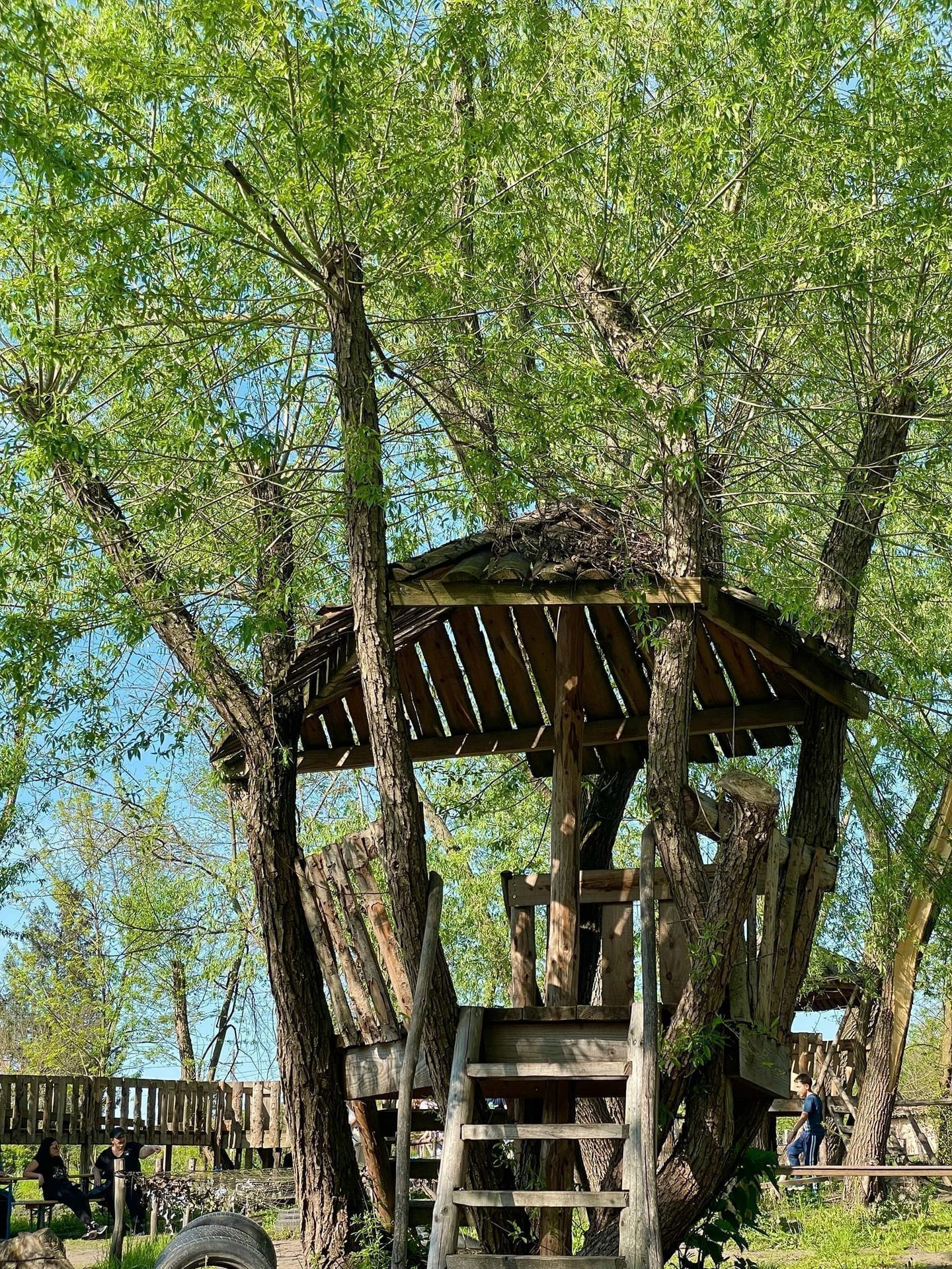 The Adventure Trail 8